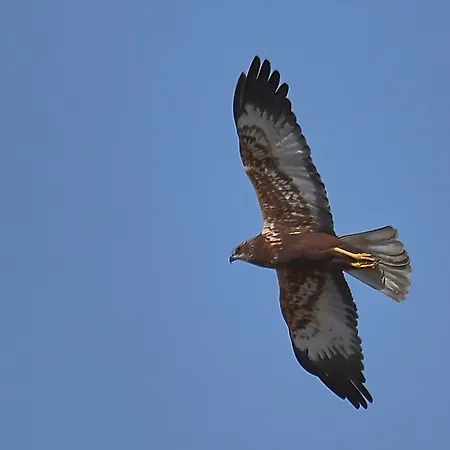 La Casina De Palacio Σπίτι διακοπών *