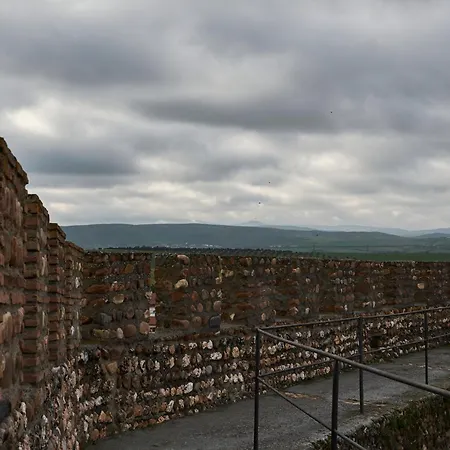 La Casina De Palacio 別荘 Galisteo