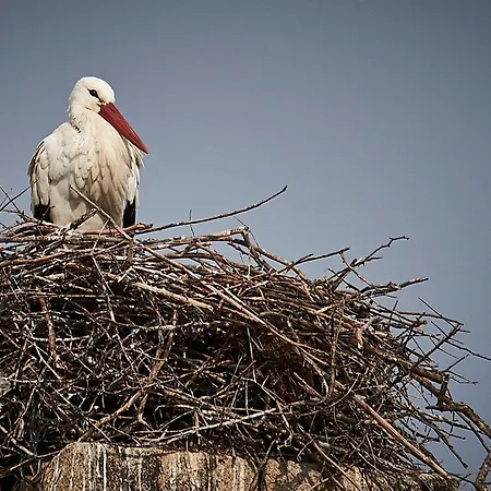 La Casina De Palacio *