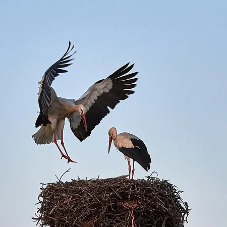 La Casina De Palacio