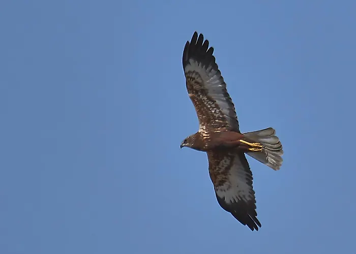 La Casina De Palacio 別荘 *