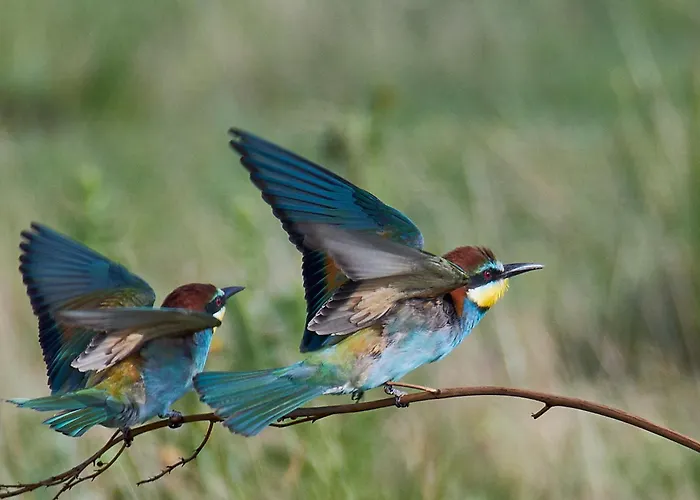 Сasa de vacaciones La Casina De Palacio Galisteo