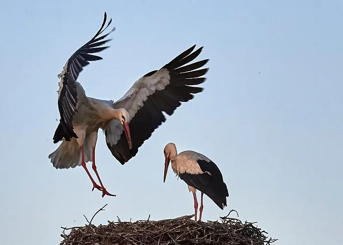 La Casina De Palacio